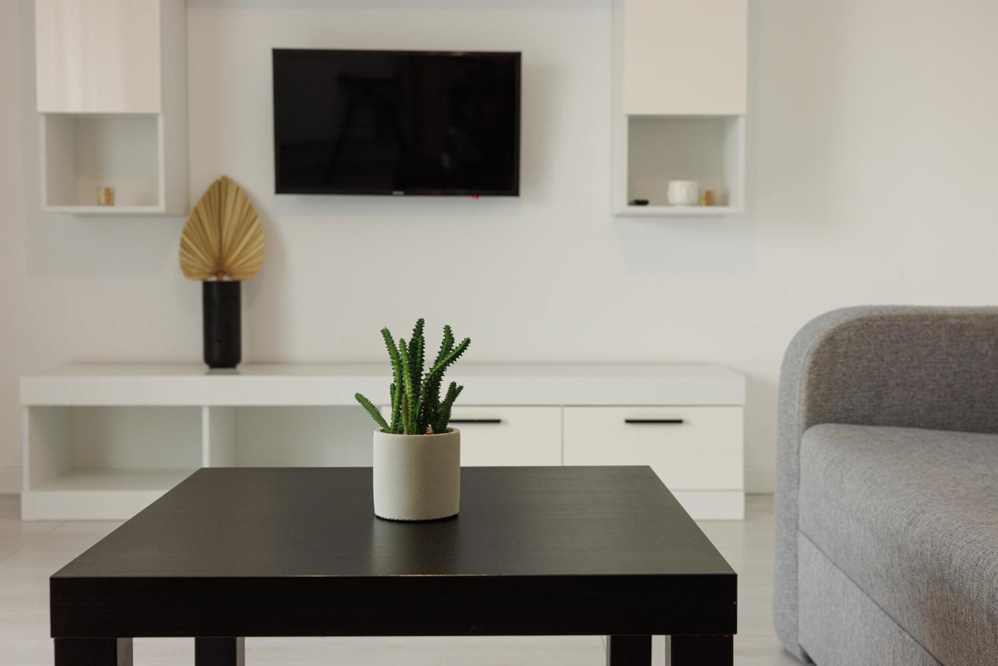 Runcu Apartment بوخارست المظهر الخارجي الصورة